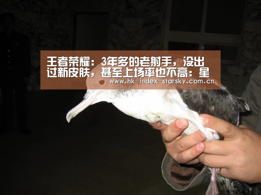 王者荣耀:3年多的老射手,没出过新皮肤,甚至上场率也不高:星空体育网址(图1) 星空体育网址