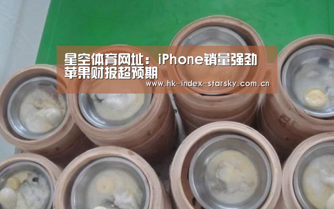 星空体育网址:iPhone销量强劲 苹果财报超预期(图2) 星空体育网址