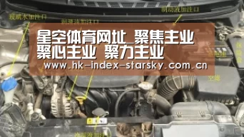 星空体育入口
