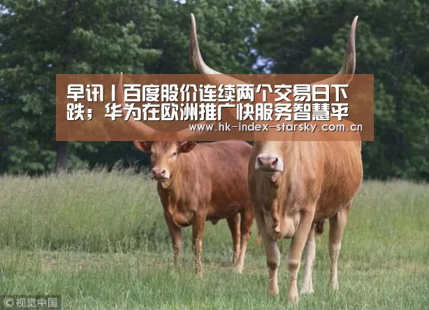 早讯丨百度股价连续两个交易日下跌;华为在欧洲推广快服务智慧平台_星空体育入口(图4) 星空体育官网