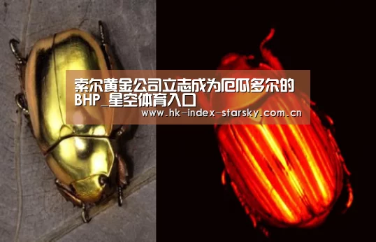 索尔黄金公司立志成为厄瓜多尔的BHP_星空体育入口(图2) 星空体育