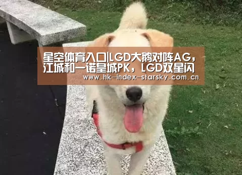 星空体育入口|LGD大鹅对阵AG,江城和一诺皇城PK,LGD双星闪耀,AG遇到对手了(图1) 星空体育入口