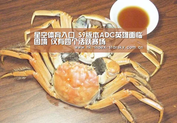 星空体育入口_S9版本ADC英雄面临困境 仅有四个活跃赛场(图1) 星空体育入口