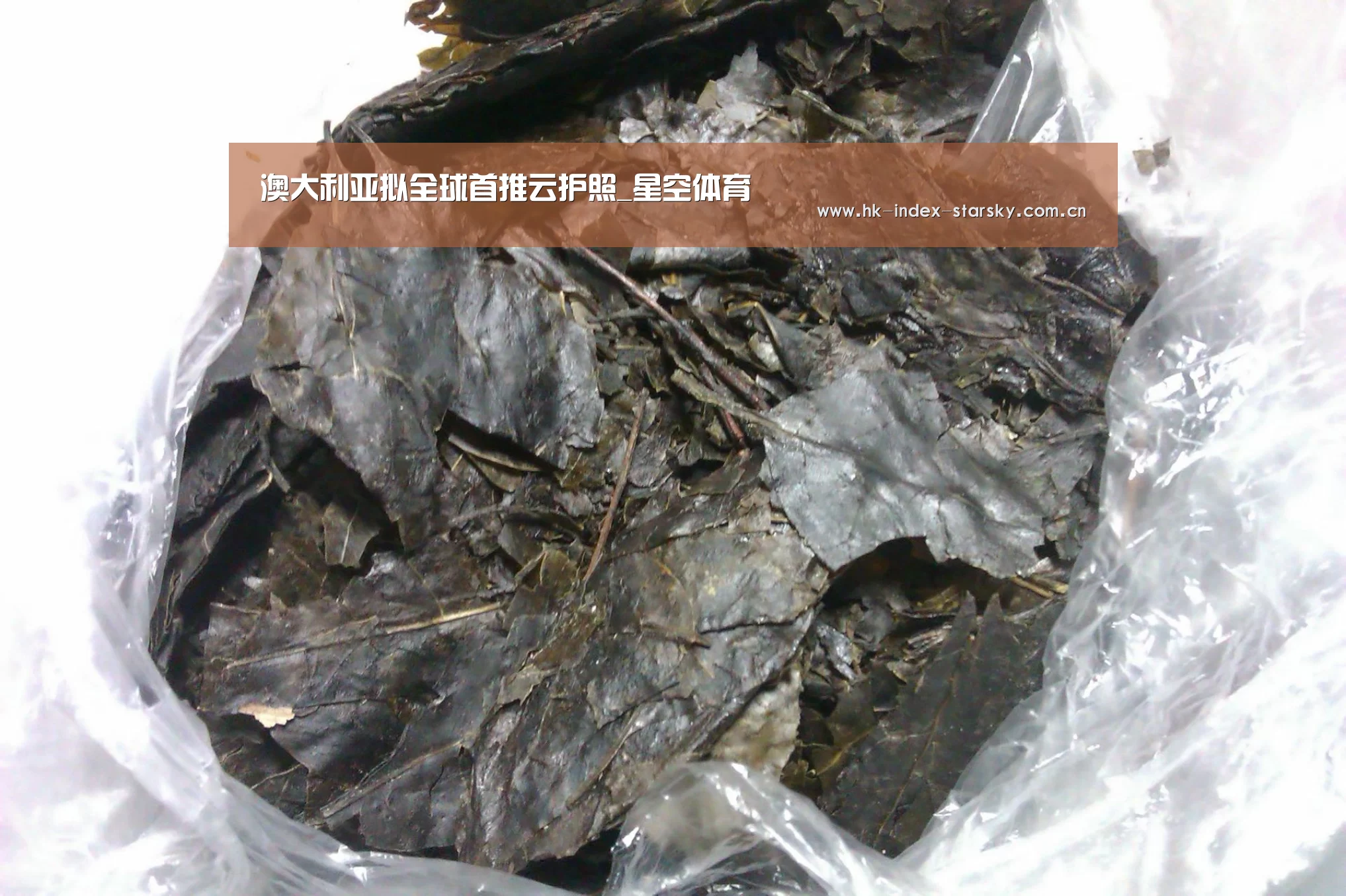 澳大利亚拟全球首推云护照_星空体育(图1) 星空体育