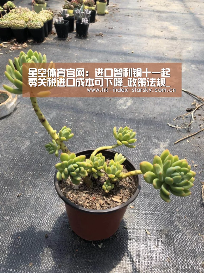 星空体育