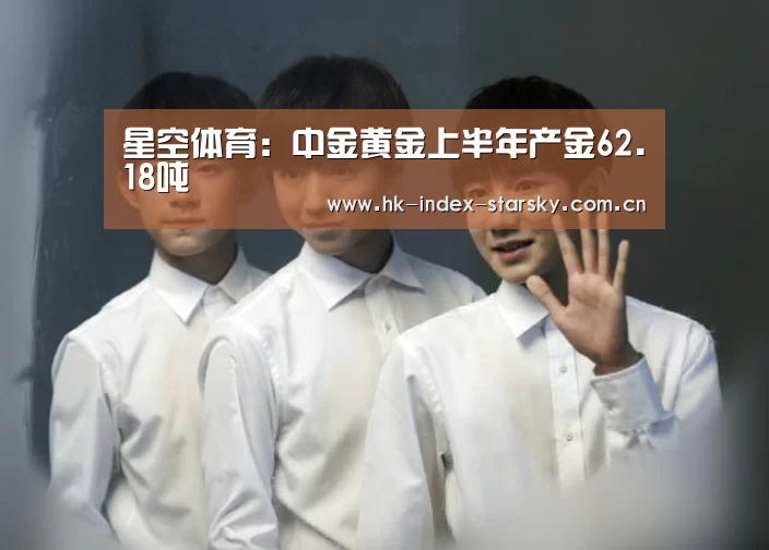 星空体育:中金黄金上半年产金62.18吨(图2) 星空体育网址