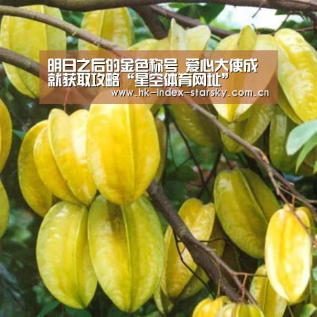 明日之后的金色称号 爱心大使成就获取攻略“星空体育网址”(图1) 星空体育入口