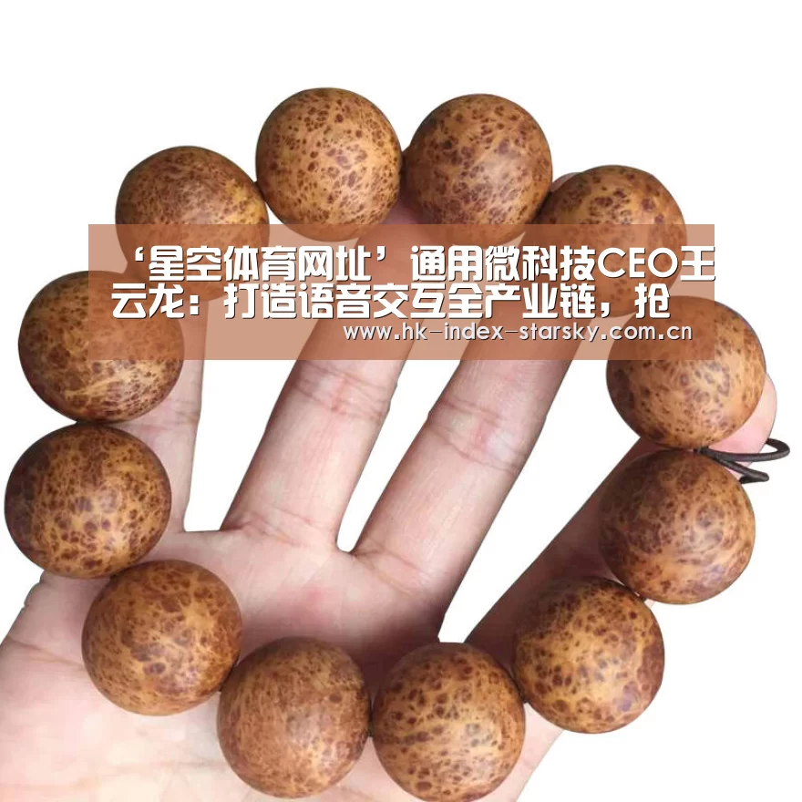 ‘星空体育网址’通用微科技CEO王云龙:打造语音交互全产业链,抢占5G入口(图2) 星空体育