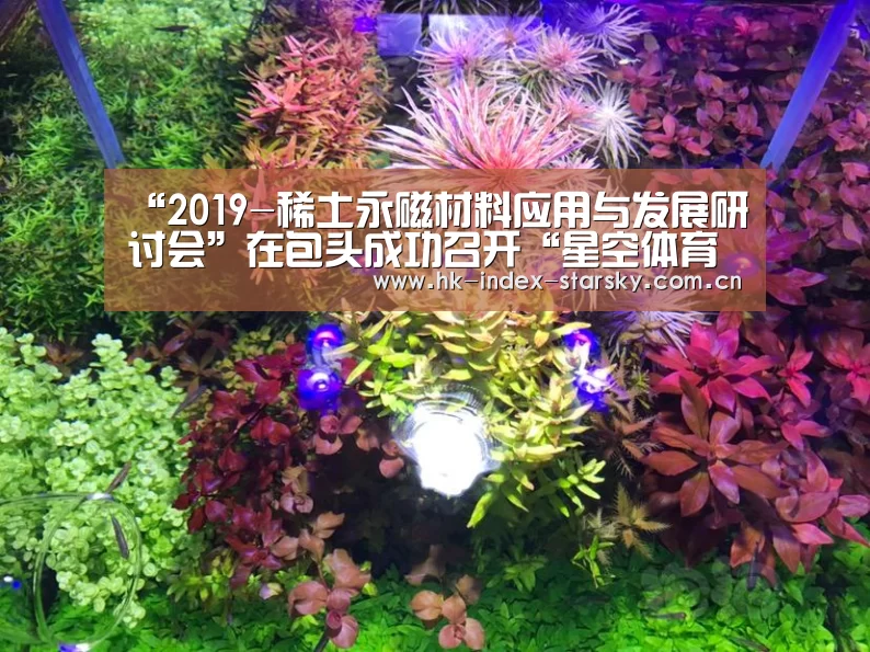 “2019-稀土永磁材料应用与发展研讨会”在包头成功召开“星空体育官网”(图1) 星空体育入口