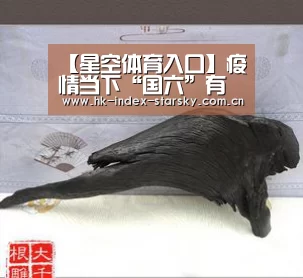 星空体育网址