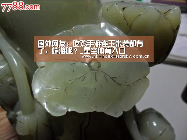 国外网友:吃鸡手游连玉米装都有了,端游呢?_星空体育入口(图3) 星空体育