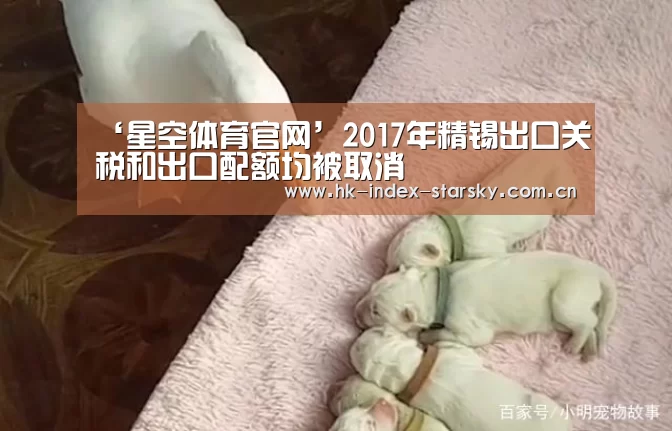 ‘星空体育官网’2017年精锡出口关税和出口配额均被取消(图1) 星空体育